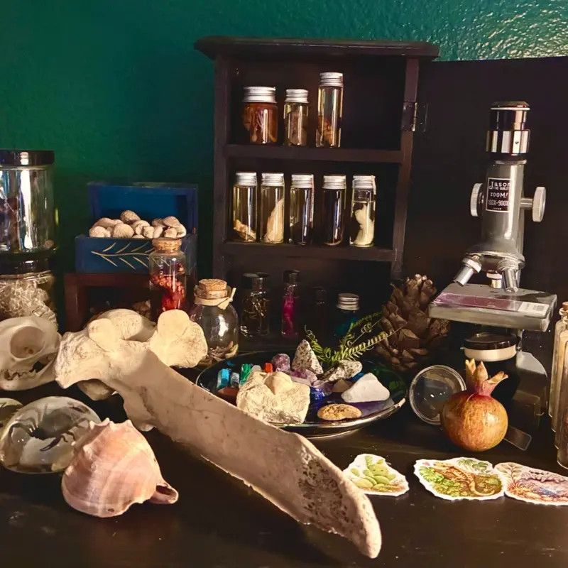 Gothic Curiosity Cabinet Box with Natural Crystals & Fossils - Curated Oddities Collection for Shelf Display & Home Decor, Oddities Home Decor, Gothic Oddities Decor