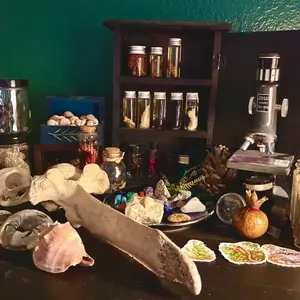 Medium Deluxe Curiosity Cabinet Oddities Collectors Box – Curated Crystals, Fossils & Nature Curio Trinkets for Shelf Display and Gothic Decor