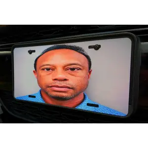 Drive Like Tiger Plate