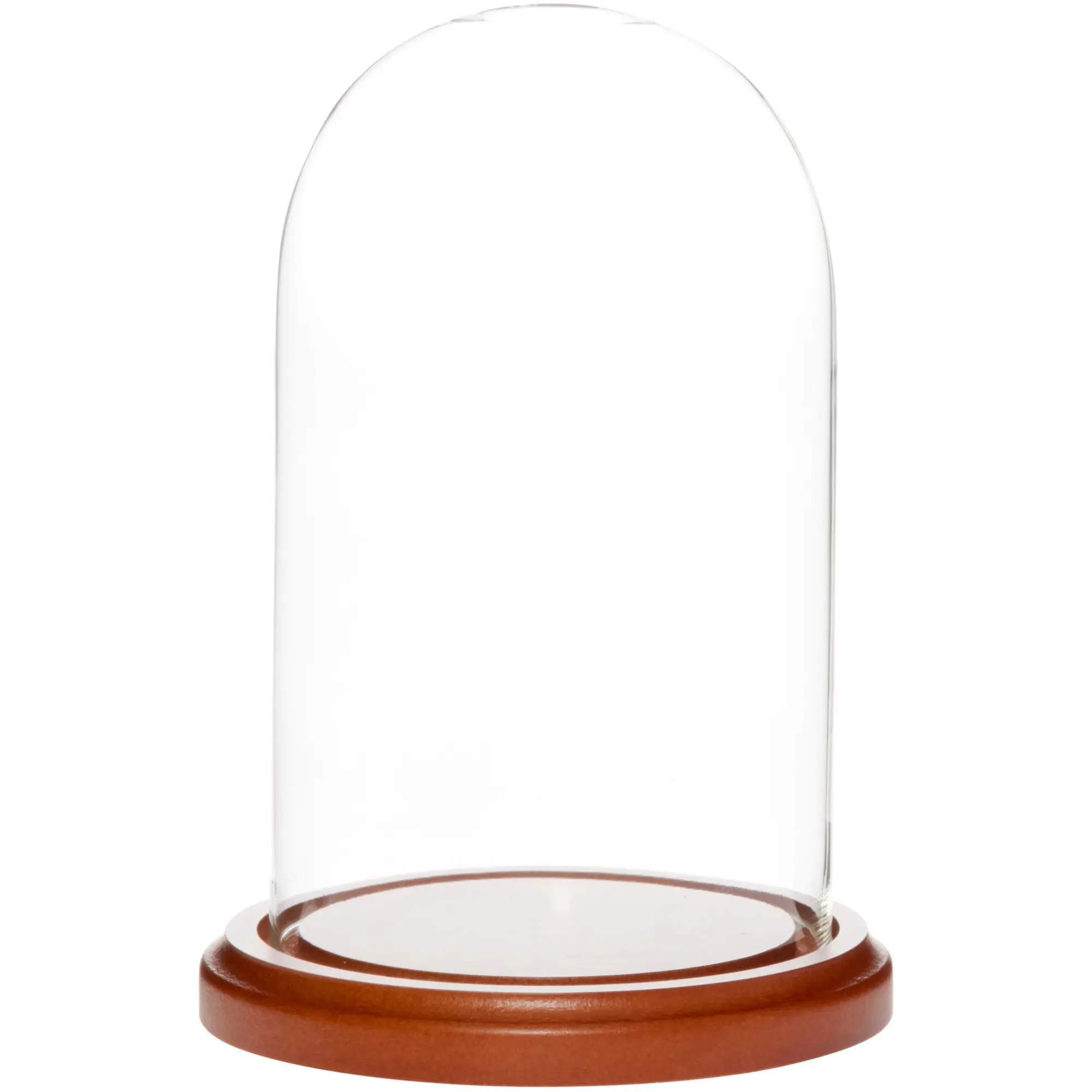 Plymor 4" x 7" Small Glass Display Dome Cloche
