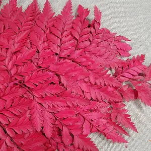 Preserved Fern, Red Leather Leaf, 10 Stems Preserved Soft and Whispy Wedding Ferns-Tree Fern - Red Ferns-Floral Décor