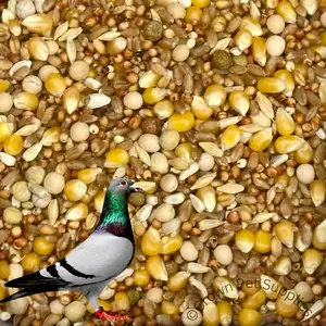 Pigeon Dove Seed Wild Bird Feed Food Birds in Zipper Bag Different Sizes 12% 5 Pounds