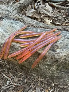 5" Finesse Worm (20)