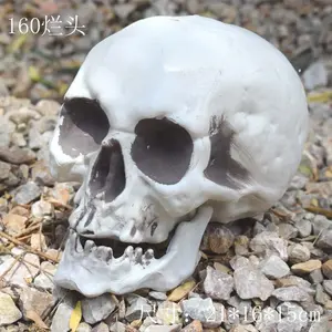 Lifelike Plastic Human Skull Decor for Halloween & Home