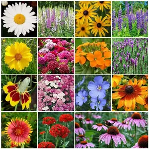 500 Wildflower Seeds for Planting - All Perennial Wildflower Mix