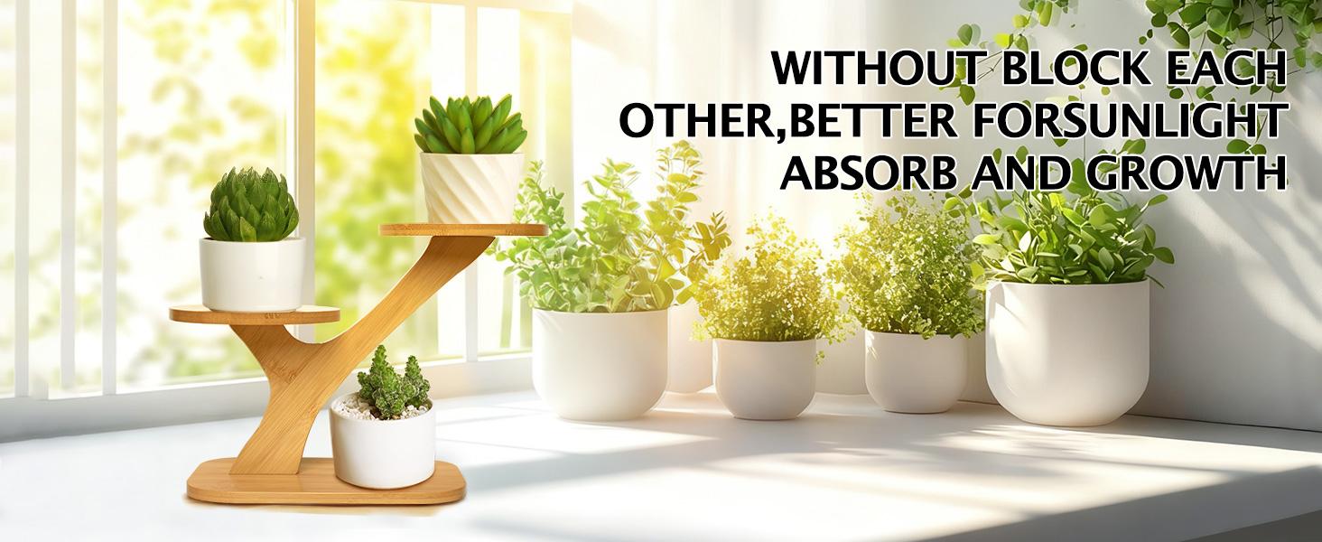 3-Tier Bamboo Succulent Planter Set - Aesthetic Desk Plant Stand Gift with 3 Ceramic Pots