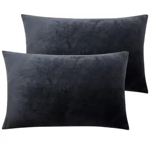 NTBAY Velvet Pillowcases 2 Pack – Super Soft Plush Zippered Pillow Covers