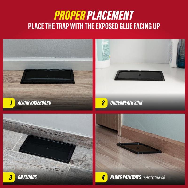 Non-Toxic Rat, Mouse & Insect Glue Traps