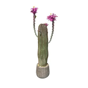 Artificial Cactus Plant Fake Cactus Potted Cactus Plant, Decorative Cactus Euphorbia Acrurensis for Home, Garden, Office Decoration, Housewarming Gifts