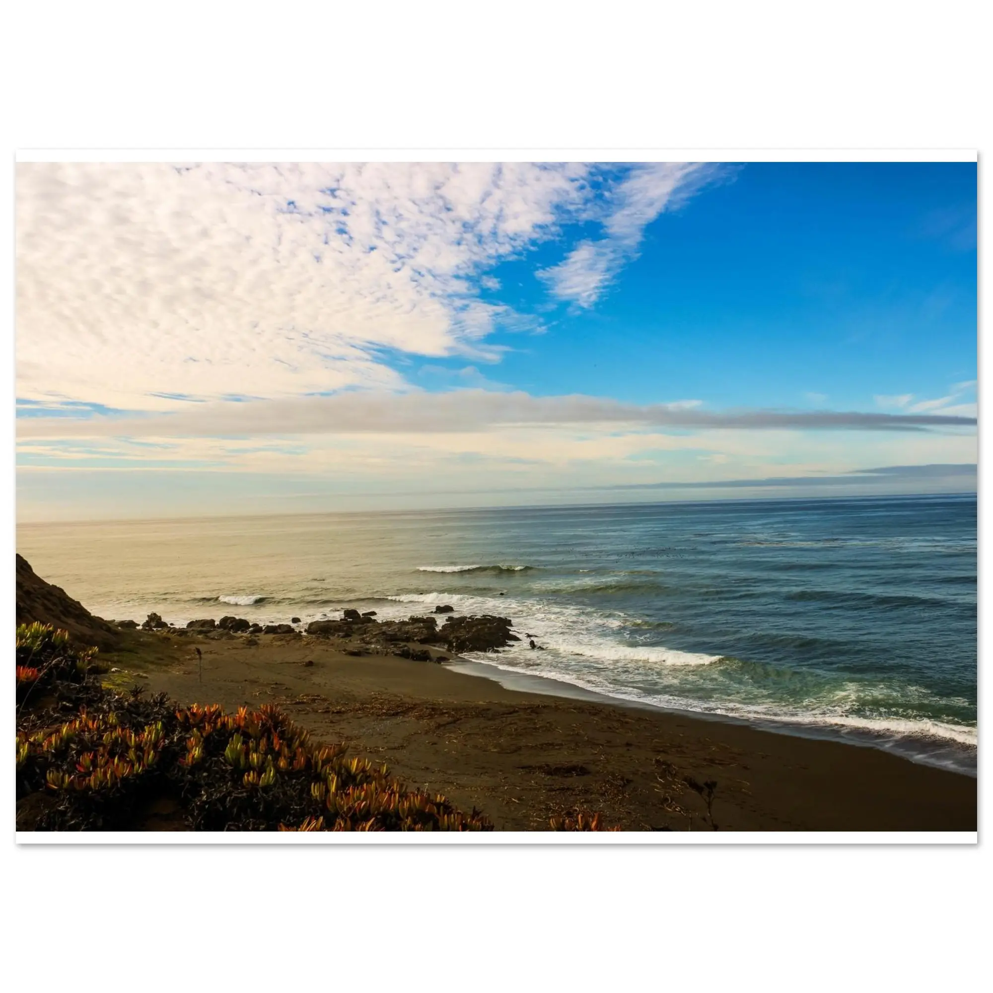 Beach landscape Poster