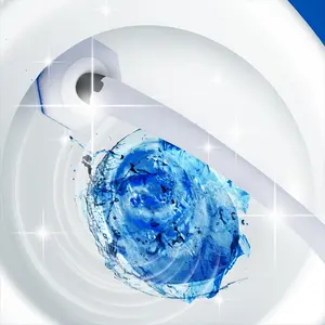 Toilet Cleaning Pads - Disposable in Packs of 10