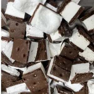 97% REDUCED SUGAR LOW-FAT Freeze Dried Vanilla Ice Cream Sandwich Bites - NO ADDED SUGAR - TikTok Viral - Crunchy Ice Cream - Astronaut Candy
