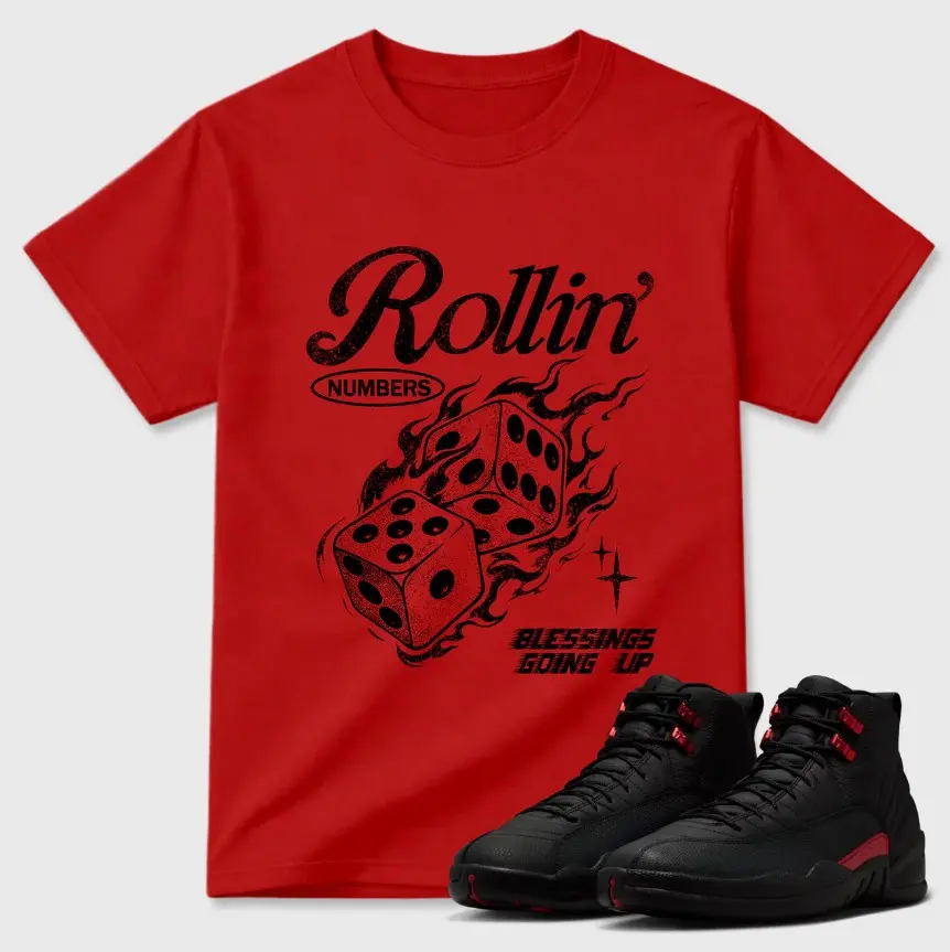 Bloodline Red Black Sneaker Match Tee, Bloodline 12 Inspired Graphic Shirt, Bloodline 12 Outfit, Casual Unisex Cotton T-Shirt, Streetwear Gift for Sneaker Fans