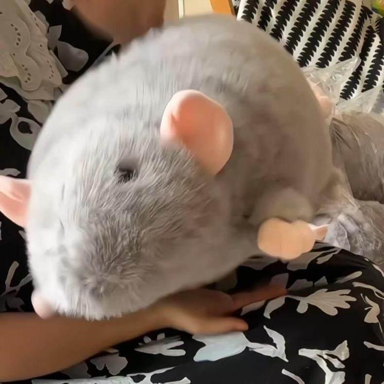 Cute 50/90cm Mouse Doll Plush Oversized Flower Branch Rat Doll Cartoon Soft Animal Figure Kids Gift Birthday