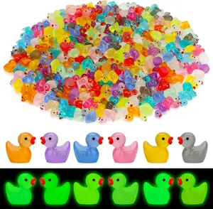 250 Pcs Mini Resin Ducks Glow in The Dark, Tiny Animals Figures to Hide Luminous Miniature Plastic Duck