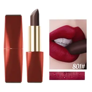 Long-lasting Color Changing Lipstick, 1 Count Waterproof Moisturizing Hydrating Lipstick, Lip Cosmetics for Girls & Women