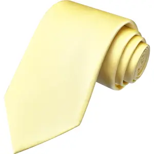3.15"(8cm) Mens Solid Satin Tie Pure Color Necktie for Business and Wedding + Gift Box