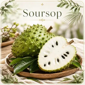 Organic Soursop (Graviola) Seeds – 30pcs Non-GMO Heirloom Tropical Fruit seeds-easy to grow