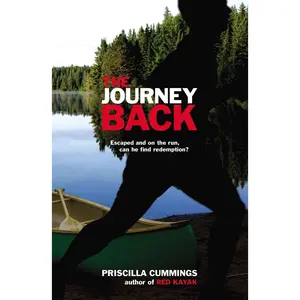 USED-The Journey Back by Cummings, Priscilla (Paperback)