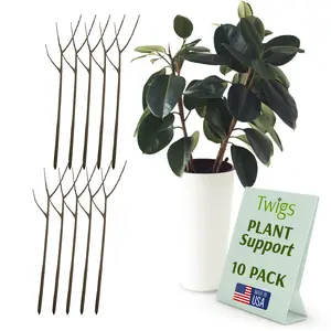 Twigs Garden Accessories - Original Twig Plant Support Stakes for Indoor & Outdoor Plants