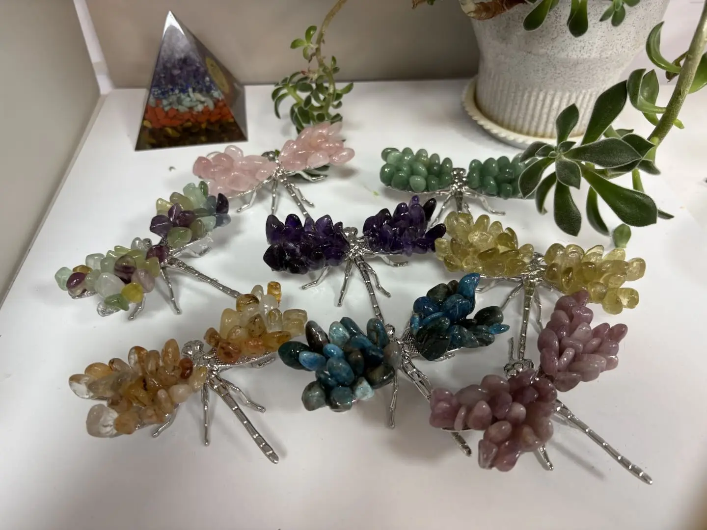 Chen(11192)gc.Chips dragonflies $30 for 8pc