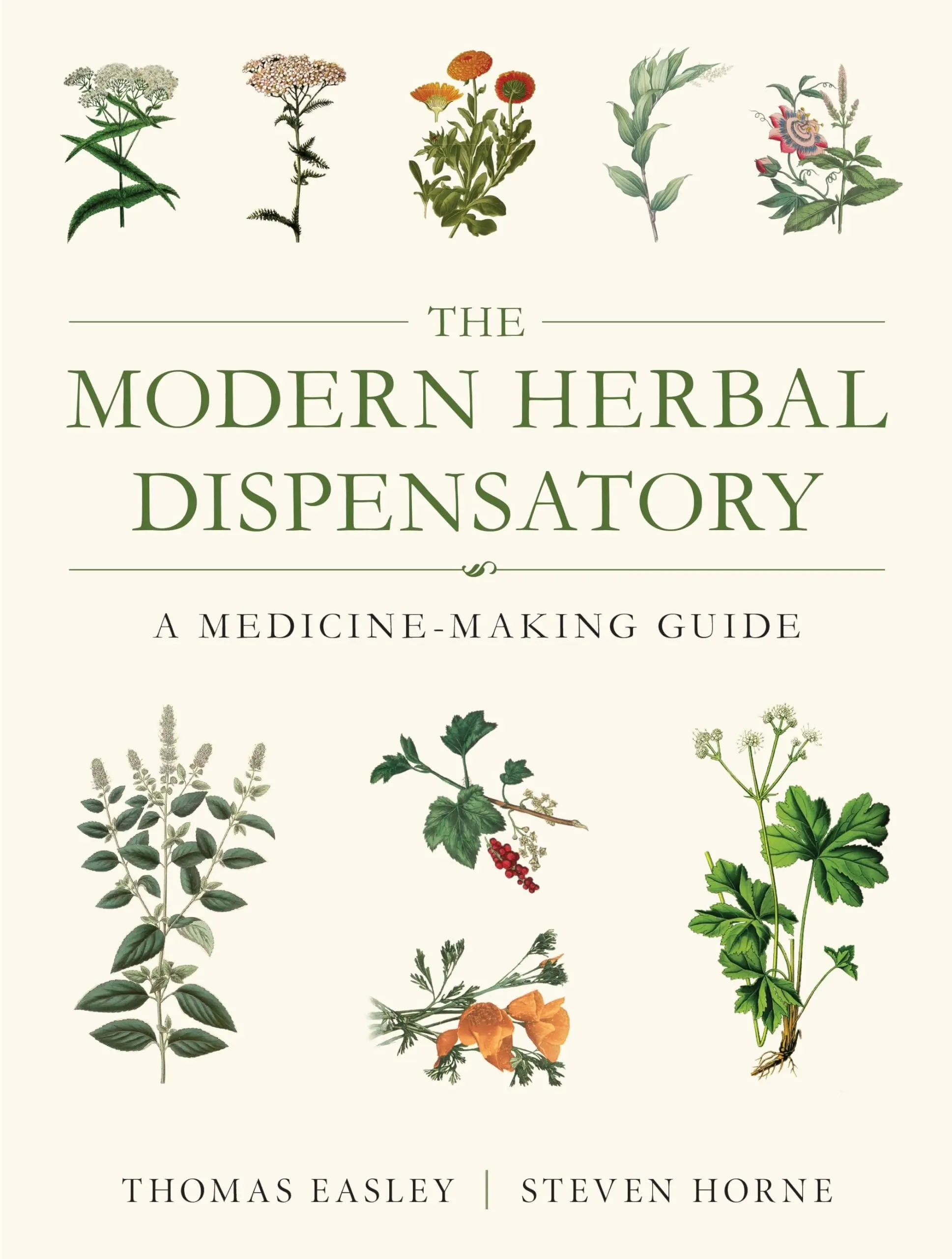 The Modern Herbal Dispensatory: A Medicine-Making Guide -- Thomas Easley - Paperback