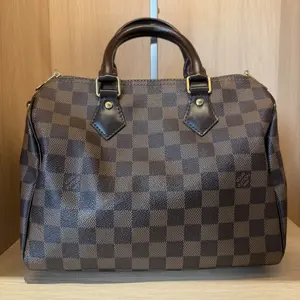 Pre-owned Louis Vuitton Damier Ebene Speedy 25 Handbag