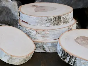 White Birch Natural Wood Slice Cake Stand Wood Tree Slice Slab Stand, Wood Cake Stand Slice of Wood, Wild Thing
