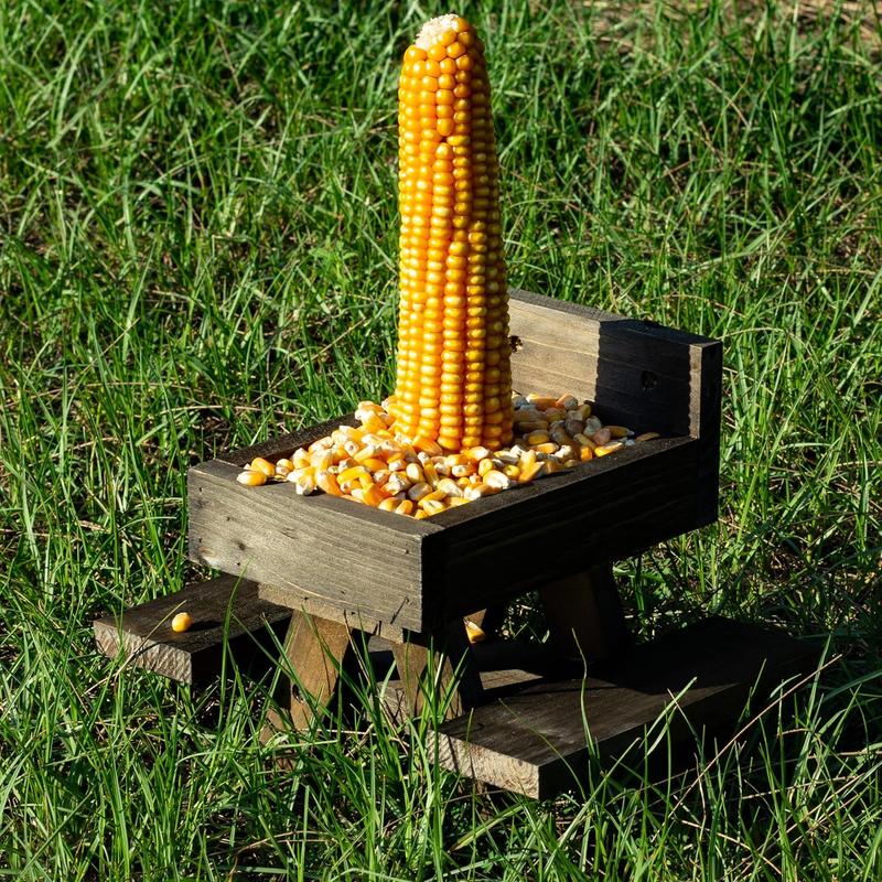 Squirrel Feeder for Outside Yard Games Funny Peanuts in Shell