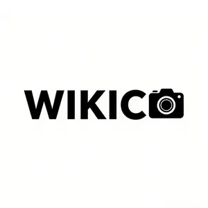 WIKICO Direct-US shop logo