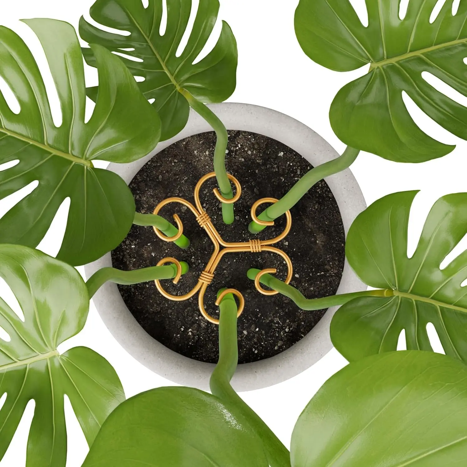 4PCS Iron Monstera Support, Uniquely Designed Plant Support Stakes for  Indoor Plants, Stable Plant Stakes and Supports, Turtle Shell Bamboo Clamp  Set for Thriving Growth - TikTok Shop