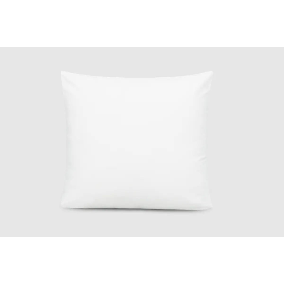 Throw Pillow Covers (Set of 2)