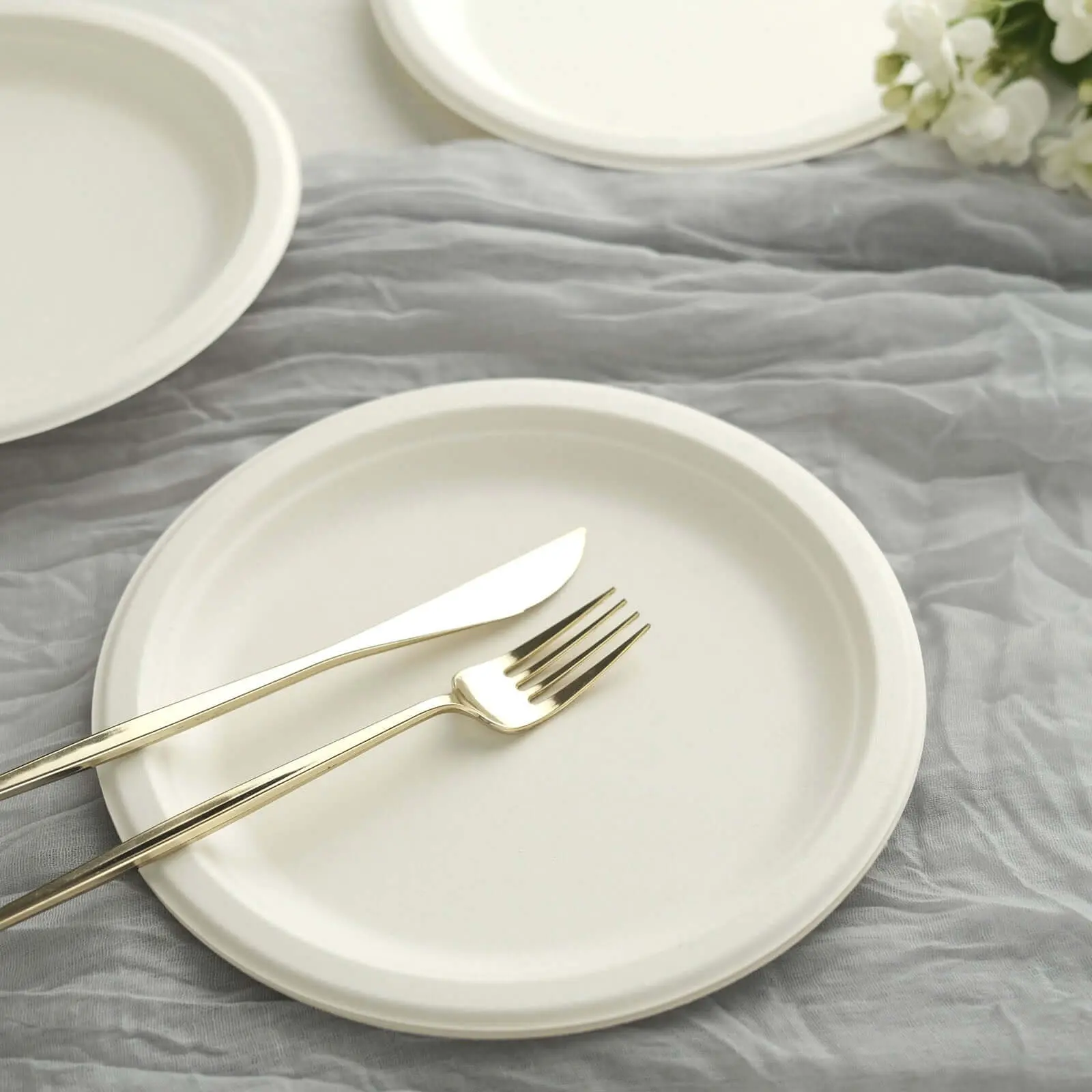 9-inch Plain Round White Bagasse Dinner Plates, 50-Pack - Hot Resistant Biodegradable Sugarcane Disposable Plates for Wedding, Home & Eco-Friendly Party Supplies (Home, Festive & Party Disposable Tableware), Round Shape, 9 Inches, Plain Plates