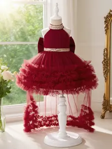 Toddler Girl's Glitter Sequin Decor Tulle Frilled Dress Elegant Sleeveless Round Neck A Line Dress for Party Performance Birthday Kids Clothes for All Seasons