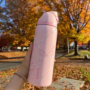 Owala Sugar Plum Fairy Holiday  Limited Edition 32oz Stainless Steel FreeSip Water Bottle