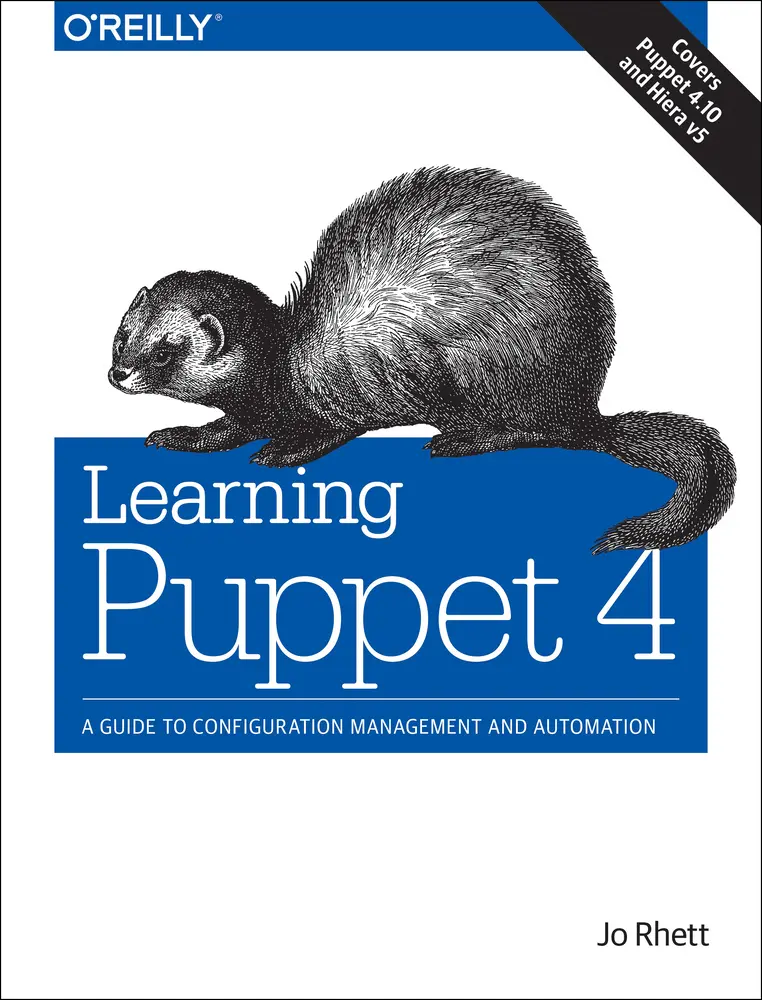 USED-Learning Puppet 4: A Guide to Configuration Management and Automation by Rhett, Jo (Paperback)