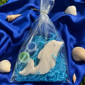 Beach plaster painting kit