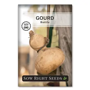 Bottle Gourd