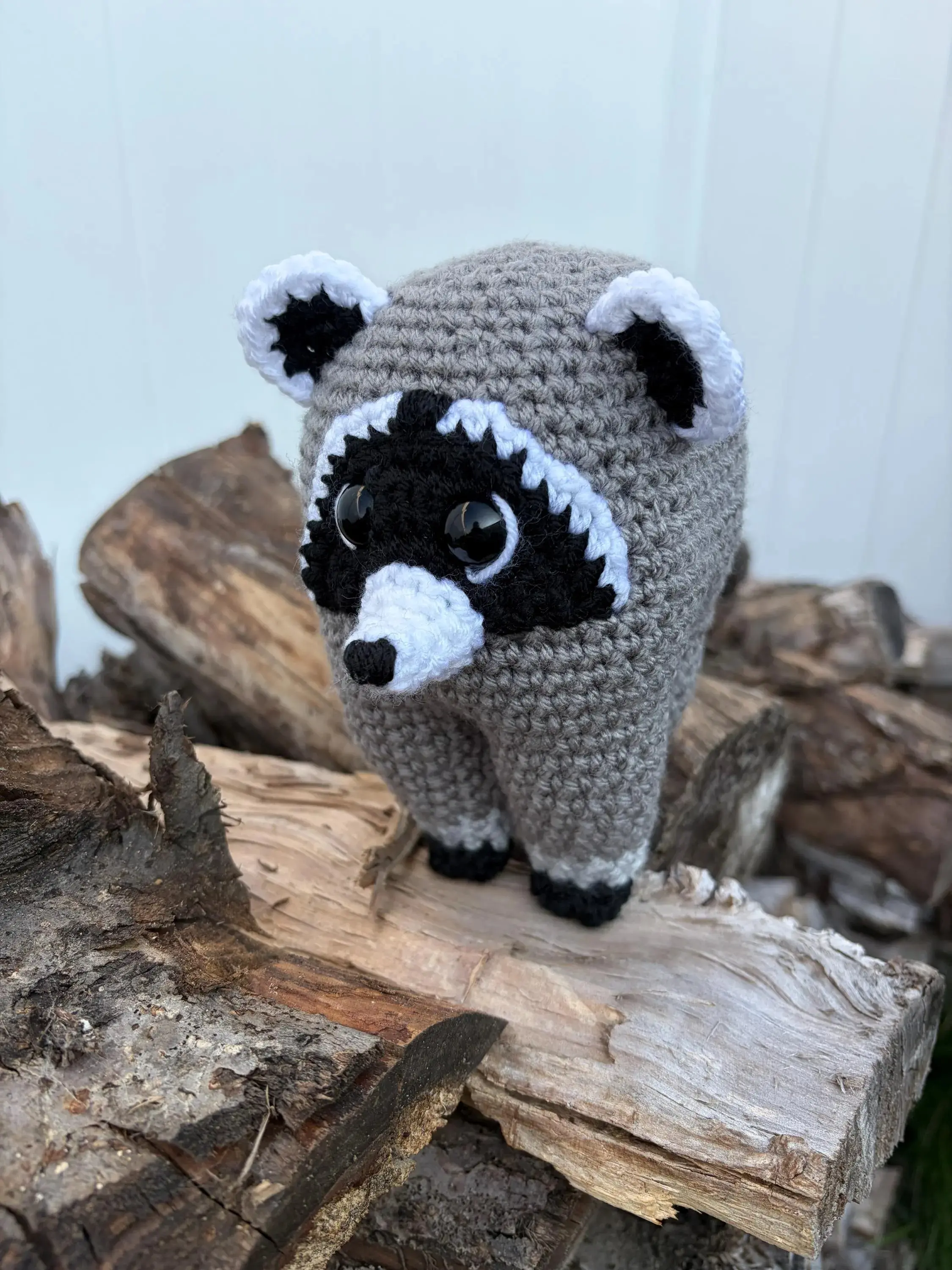 Crocheted Raccoon Plush Toy: Jimothy, Short Spine Syndrome Viral Sensation
