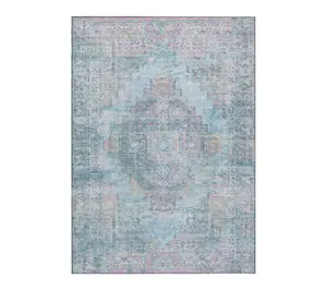 HomeRoots 3' X 5' Blue And Pink Medallion Washable Outdoor Rug