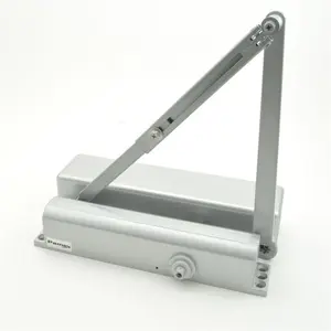 Pamex  Adjustable Regular Surface Mount Door Closer - Aluminum