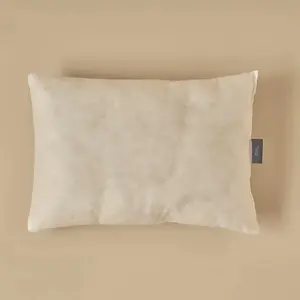 Throw Pillow Insert Throw Pillow Insert