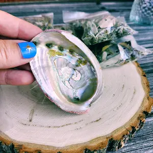 Abalone Shell Purification Smudge Blend for Home and Spiritual Cleansing