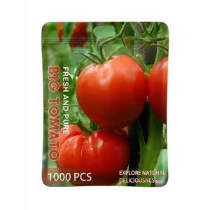Beefsteak Tomato Seeds 1000+ Heirloom Non-GMO Seeds for Planting, High Germination, Indeterminate, Large Meaty Slicing Tomato, High Yield Summer Vegetable Garden (Solanum lycopersicum)