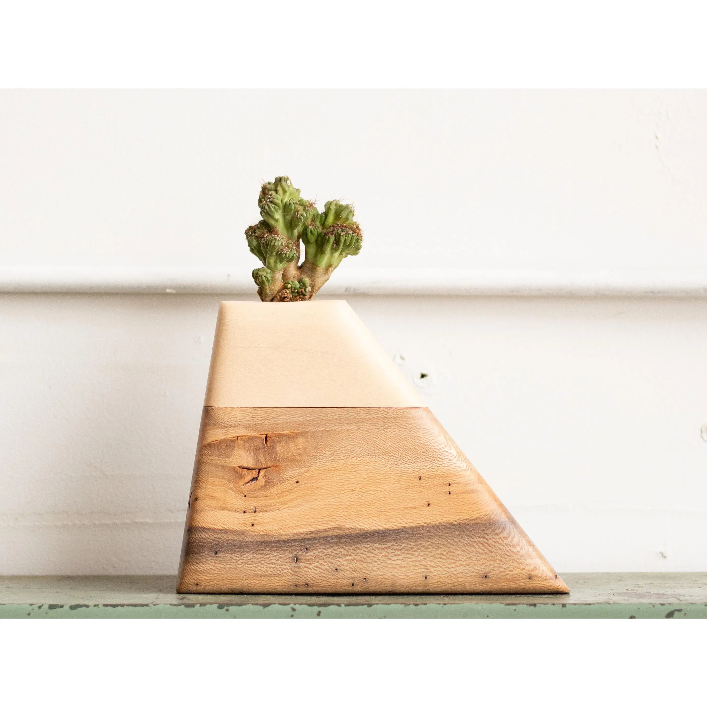Small Planturn™ Cremation Urn in California Sycamore