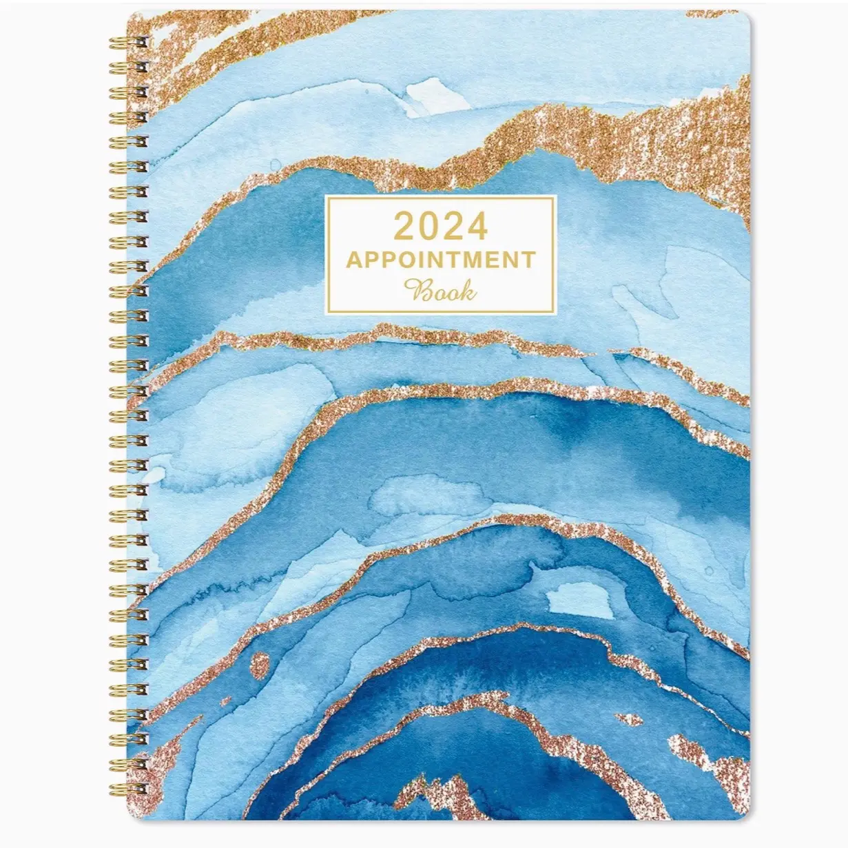 Appointment Book 2024-2025 Daily Planner, 8'' x 10'' Hourly Planner, Appointment Book from July 2024-June 2025, Appointment Planner