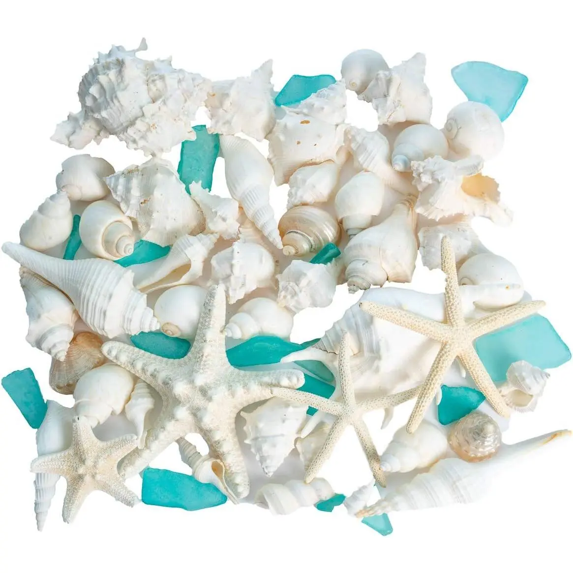 Sea Shells - White Real Mixed Beach Seashells (1lb) with Starfish & Sea Glass - Shells for Crafts - Ocean Decor - Beach Party Decorations - Seashell Decor - Large Shells Crafts