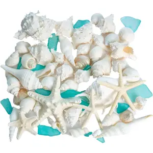 Sea Shells - White Real Mixed Beach Seashells (1lb) with Starfish & Sea Glass - Shells for Crafts - Ocean Decor - Beach Party Decorations - Seashell Decor - Large Shells Crafts