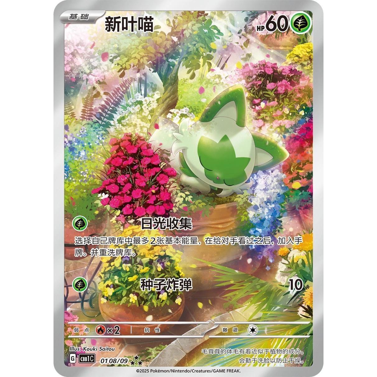 original Pokemon card gift set