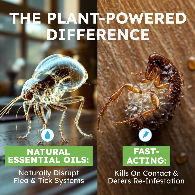 BugMD Flea & Tick Spray for Cats & Home – Plant-Based Formula with Cedarwood Oil – Indoor/Outdoor Use – 16 oz